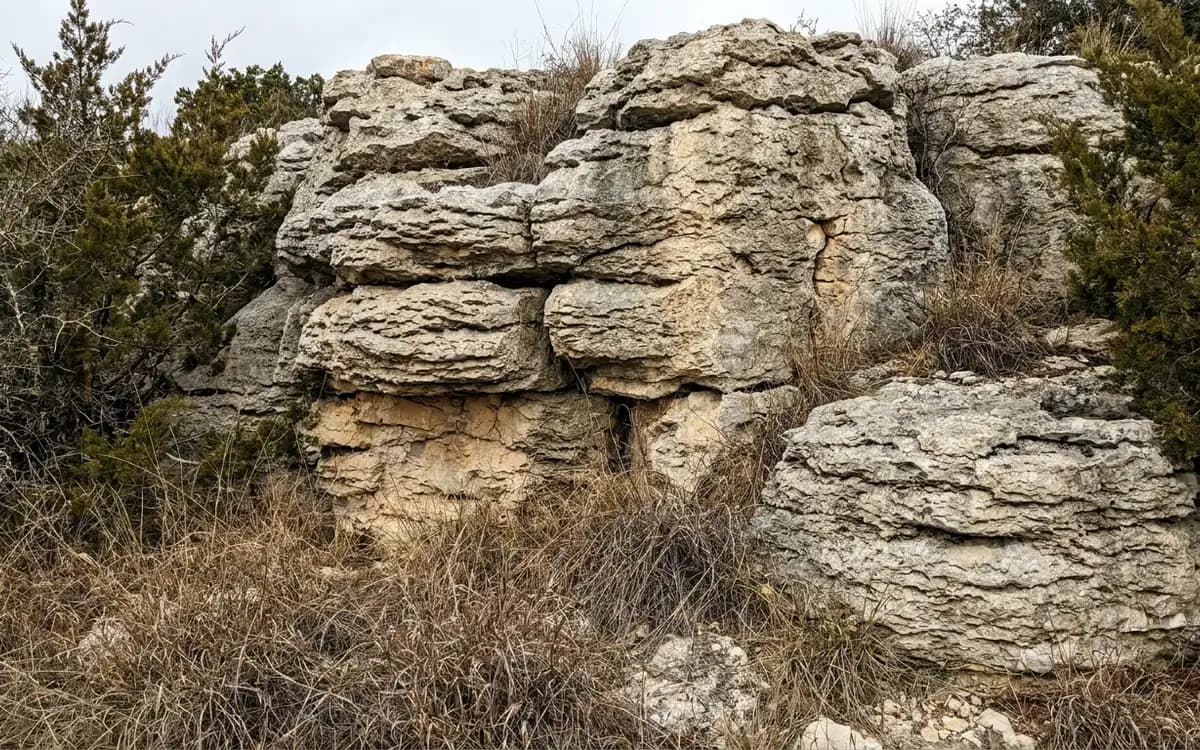 Weathered limestone outcrop typical of the Texas Hill Country