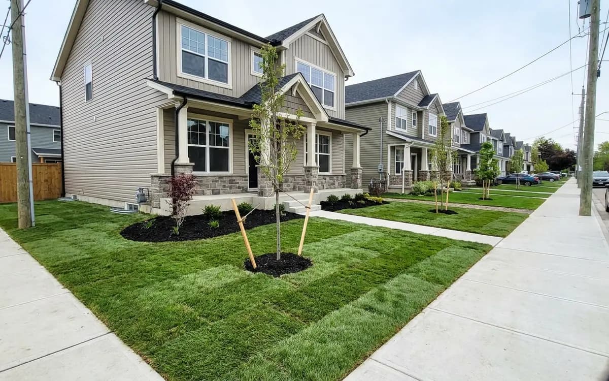 Street of newly built two-story homes with young landscaping